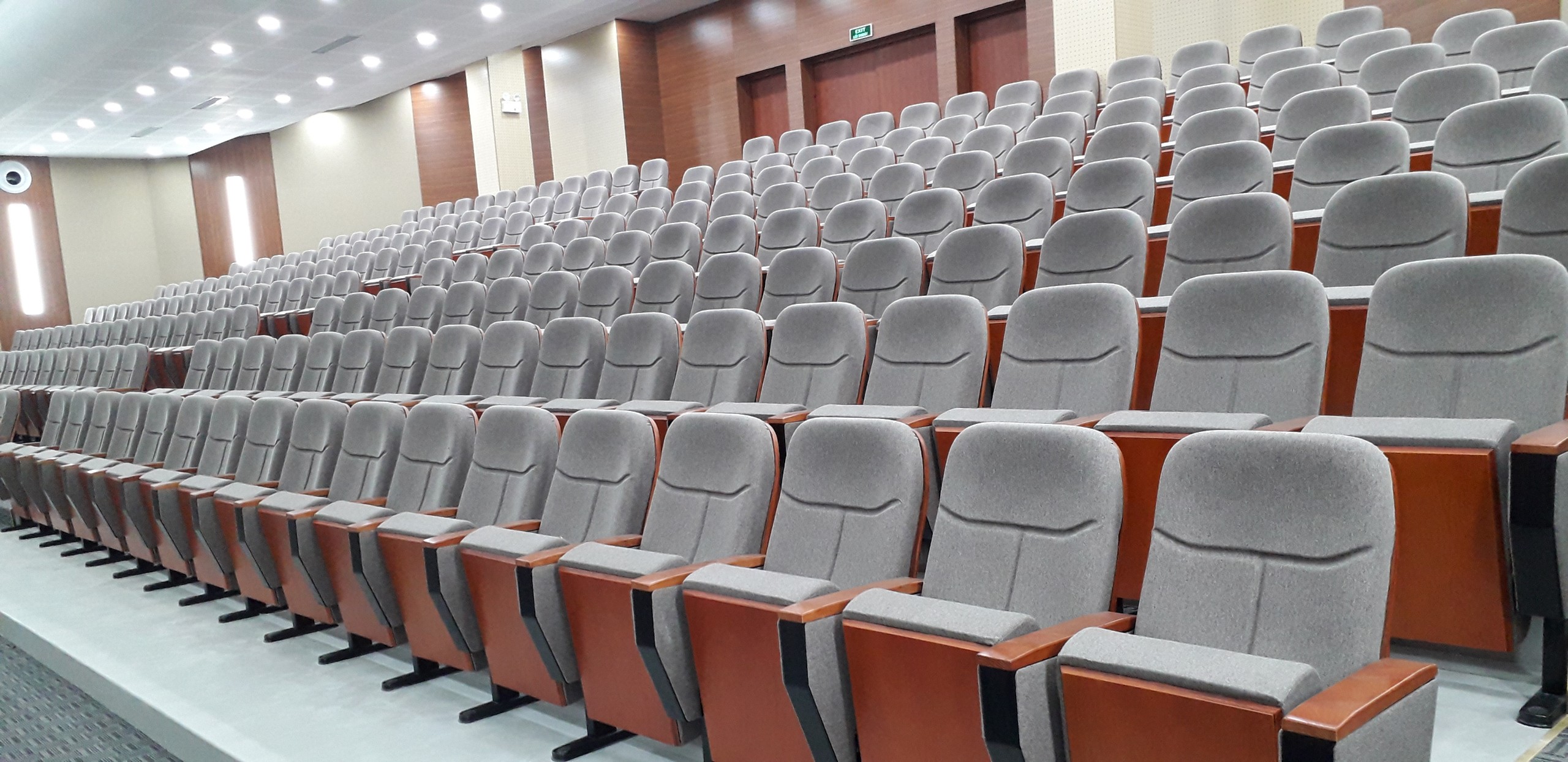 Custom OEM Theater Solutions